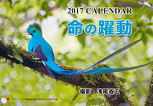 動物カレンダー2017