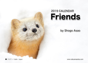 動物カレンダー2019